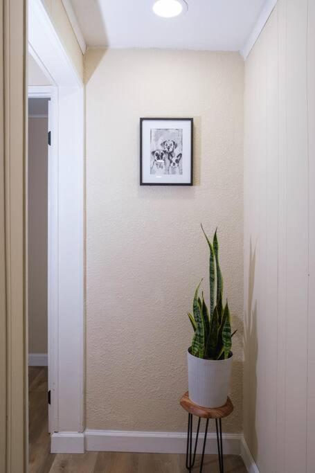 House Near Zoo And Busch Gardens, Free High Speed Wifi *